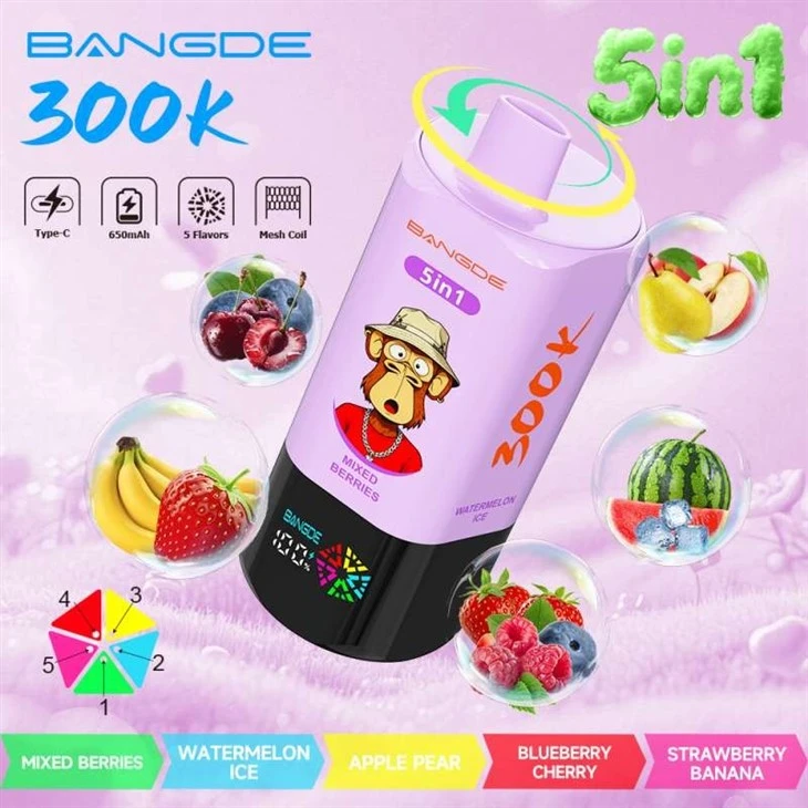 BANG DE 5in1 300K factory