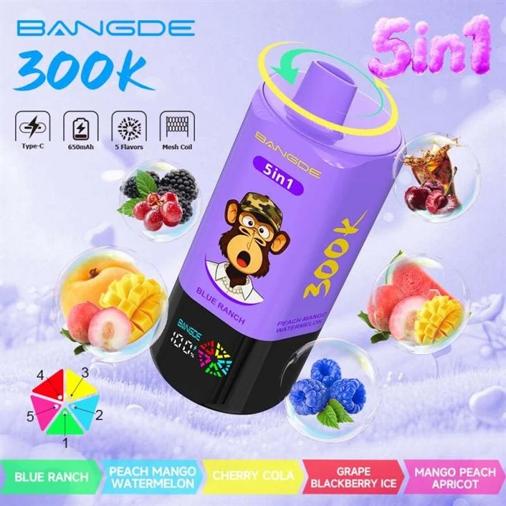 BANG DE 5in1 300K factory