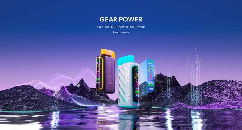 VOZOL GEAR POWER 20000 27