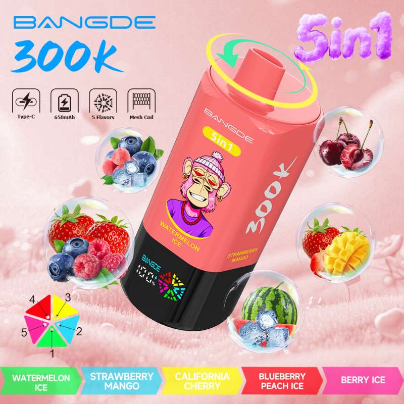 BANG DE 300K 13
