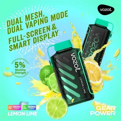Quanto tempo può essere utilizzato il vozol Gear Power 20000?
