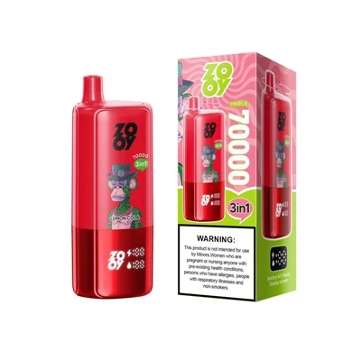 ZOOY TRIPLE 70000 Introduzione tecnica e analisi strutturale|Dispositivo di a...