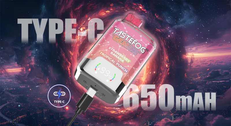 Tastefog-Gemini-25000-Puffs-2-Nicotine-Mesh-Coil-1-0ohm-Rechargeable-Pods-Desechables-Vape-2-in-1TASTEFOG GEMINI 25000