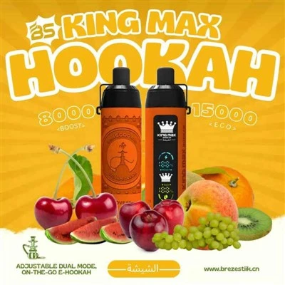 Narghilè BS King Max 15000