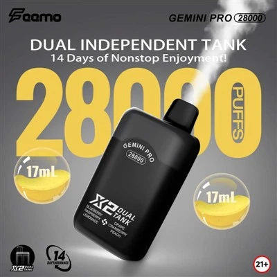 Feemo Gemini Pro 28000 sbuffi