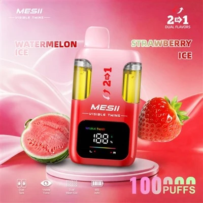 GEMELLI VISIBILI MESII 100K