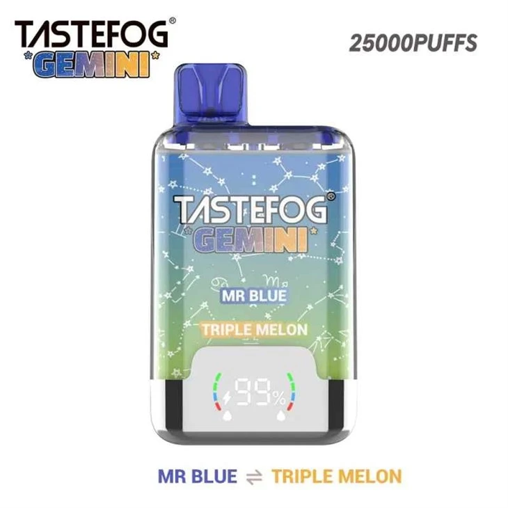 Tastefog-Gemini-25000-Puff-Vapes-Hot-Selling-Dual-Flavorsonic-E-Cigarette-Wholesale-I-Vape_TASTEFOG GEMINI 25000