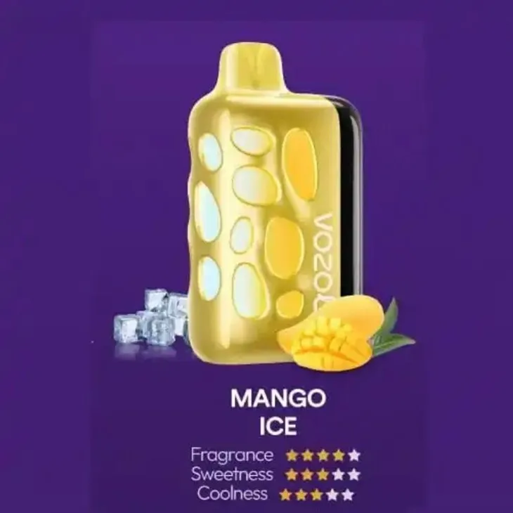 VOZOL RAVE 40000 BUFS